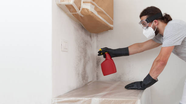 Professional Commercial Mold Remediation technician working in West Orange, TX