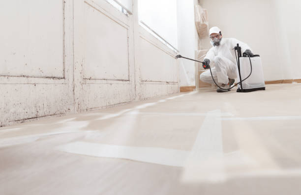 24/7 Emergency Commercial Mold Remediation experts in West Orange, TX