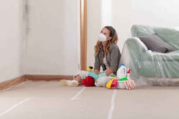 Reliable Commercial Mold Remediation contractor in West Orange, TX by 24 Hour Mold Removal